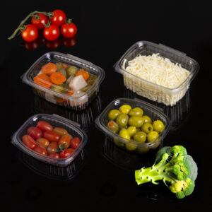 Hinged Lid Food Containers